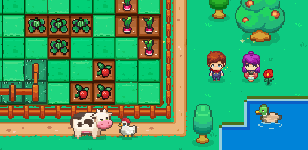 Square Farm